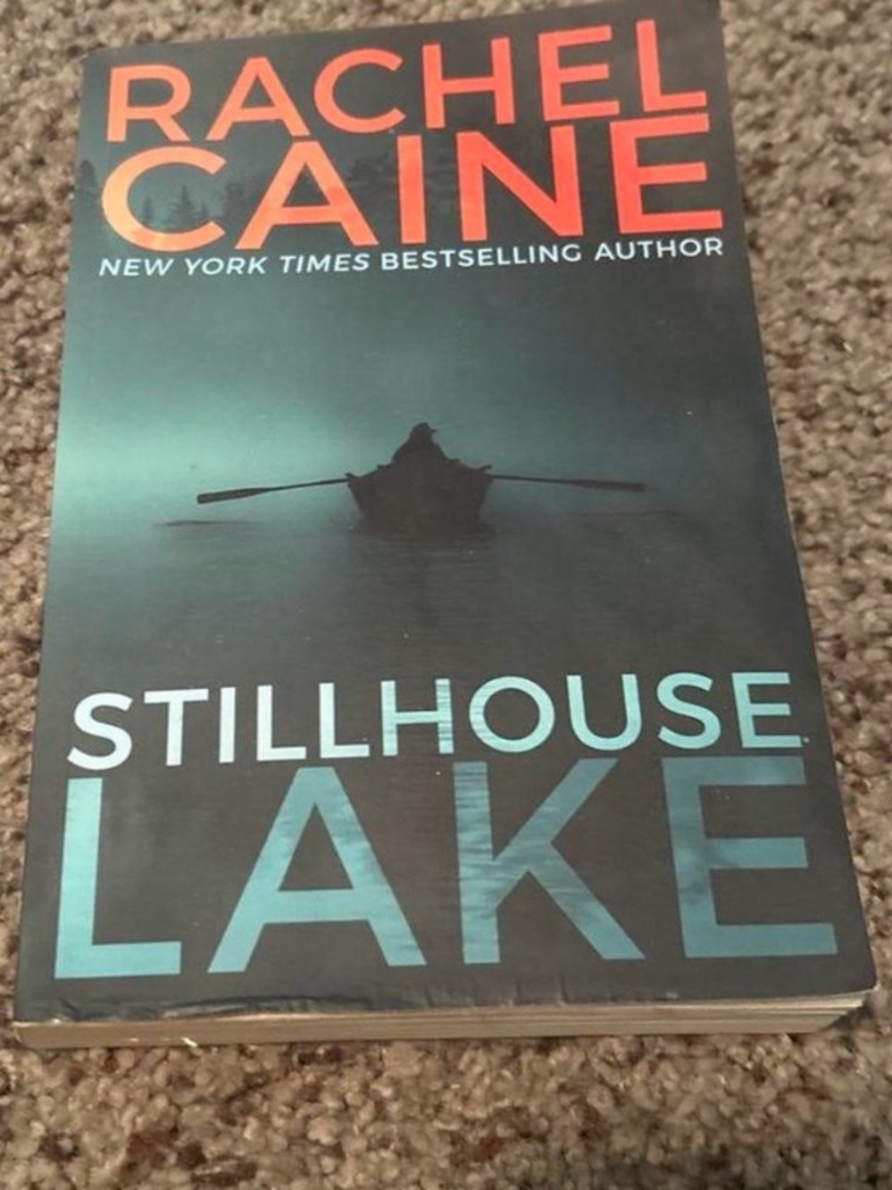 Stillhouse Lake Paperback - Teal and Black